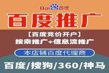 高效SEM托管公司案例对比分析